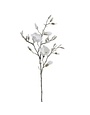 Glittered Magnolia Branch, 40 in.
