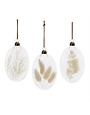 Melrose International Dried Floral Glass Ornament, Cream, 5.5 in., Assorted Styles
