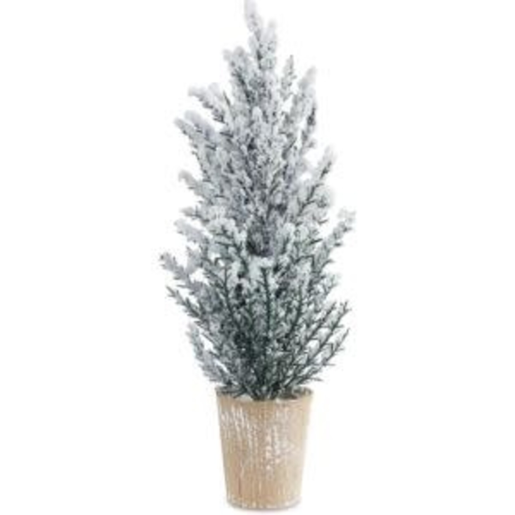 Melrose International Potted Snowy Pine Tree, 16 in.
