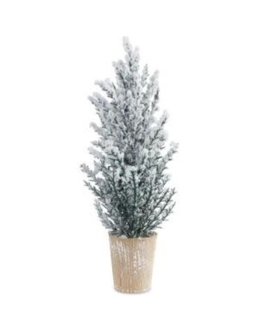 Melrose International Potted Snowy Pine Tree, 16 in.