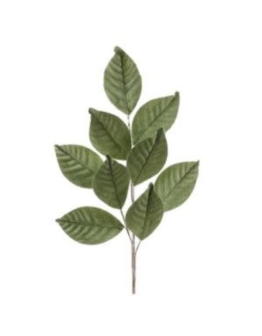 Melrose International Magnolia Leaf Spray, 27.5 in.