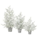 Frosted Juniper Tabletop Trees, Large, 32 in.