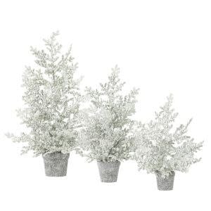 Frosted Juniper Tabletop Trees, Large, 32 in.