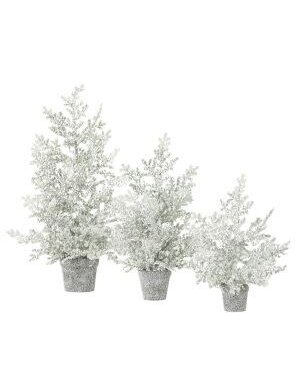 Frosted Juniper Tabletop Trees, Small, 19 in.