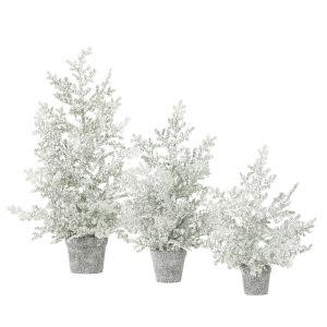 Frosted Juniper Tabletop Trees, Small, 19 in.