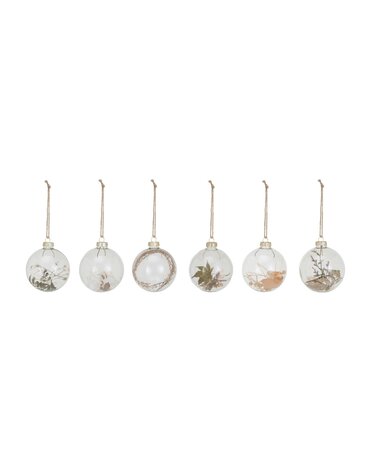 Assorted Glass Ball Ornament w/ Dried Botanicals, 3"Rnd