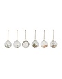 Assorted Glass Ball Ornament w/ Dried Botanicals, 3"Rnd