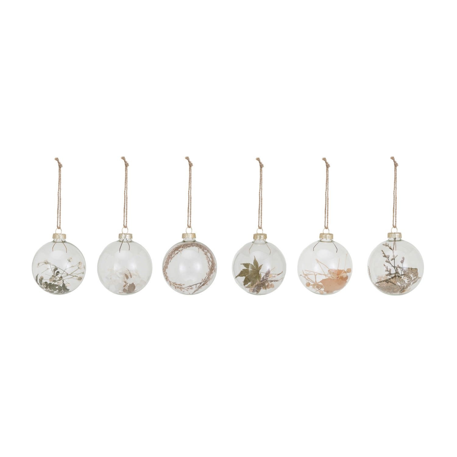 Assorted Glass Ball Ornament w/ Dried Botanicals, 3"Rnd