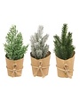 Paper Wrapped Mini Christmas Tree, Assorted, 7.5 in.