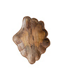 Carved Mango Wood Scalloped Bowl, 12"x 9"