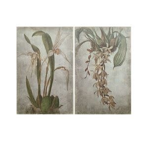 Vanilla Orchid Botanical Prints, Set of 2, 24 x 1.5 x 36