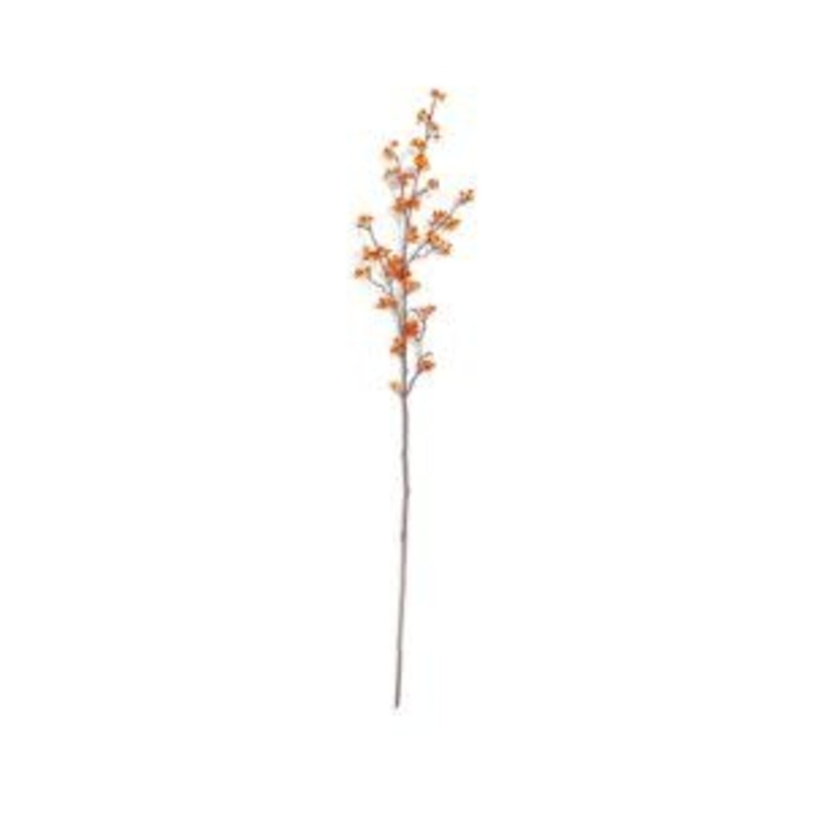 Bittersweet Branch, 49 x 8 in.