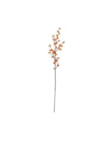 Bittersweet Branch, 49 x 8 in.
