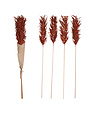 Dried Natural Palm Grass Bunch
