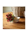 Red Rose Hip Bundle, 13.5 in.