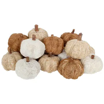 Dried Pumpkin Bag of 18