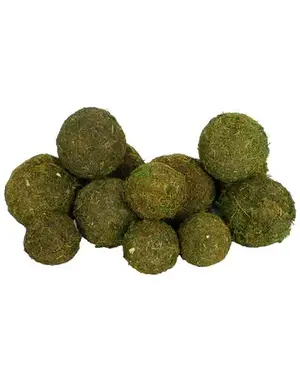 Dried Moss Orbs Set of 12