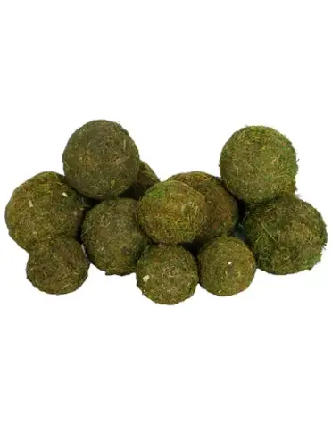 Dried Moss Orbs Set of 12
