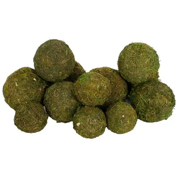 Dried Moss Orbs Set of 12