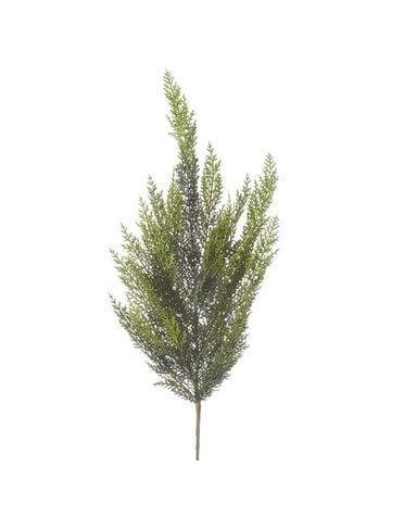 Cedar Spray, 34 in.
