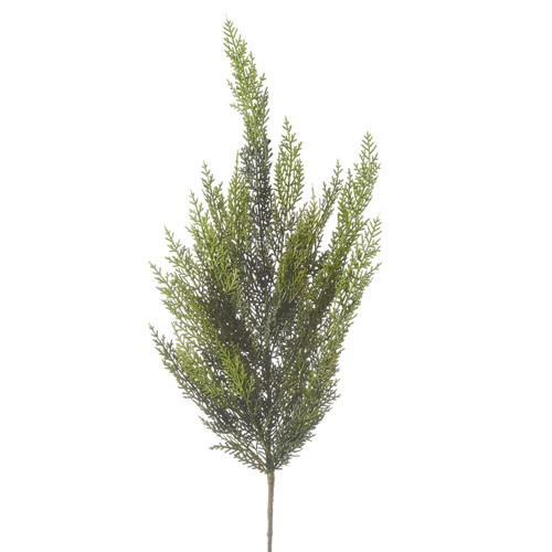 Cedar Spray, 34 in.