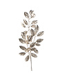 Silver Laurel Leaf Spray, 34"