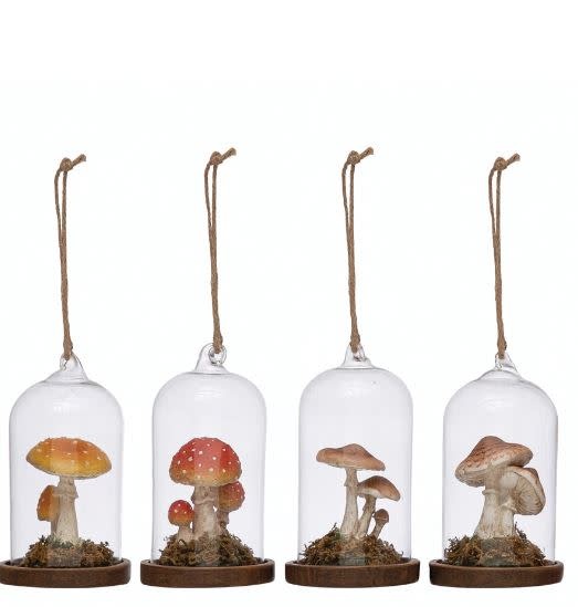 Glass Cloche Ornament w/ Mushroom, 5"