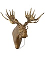 E&E Brass  Wall Mount, Moose, Eugene, Available for local pick up only