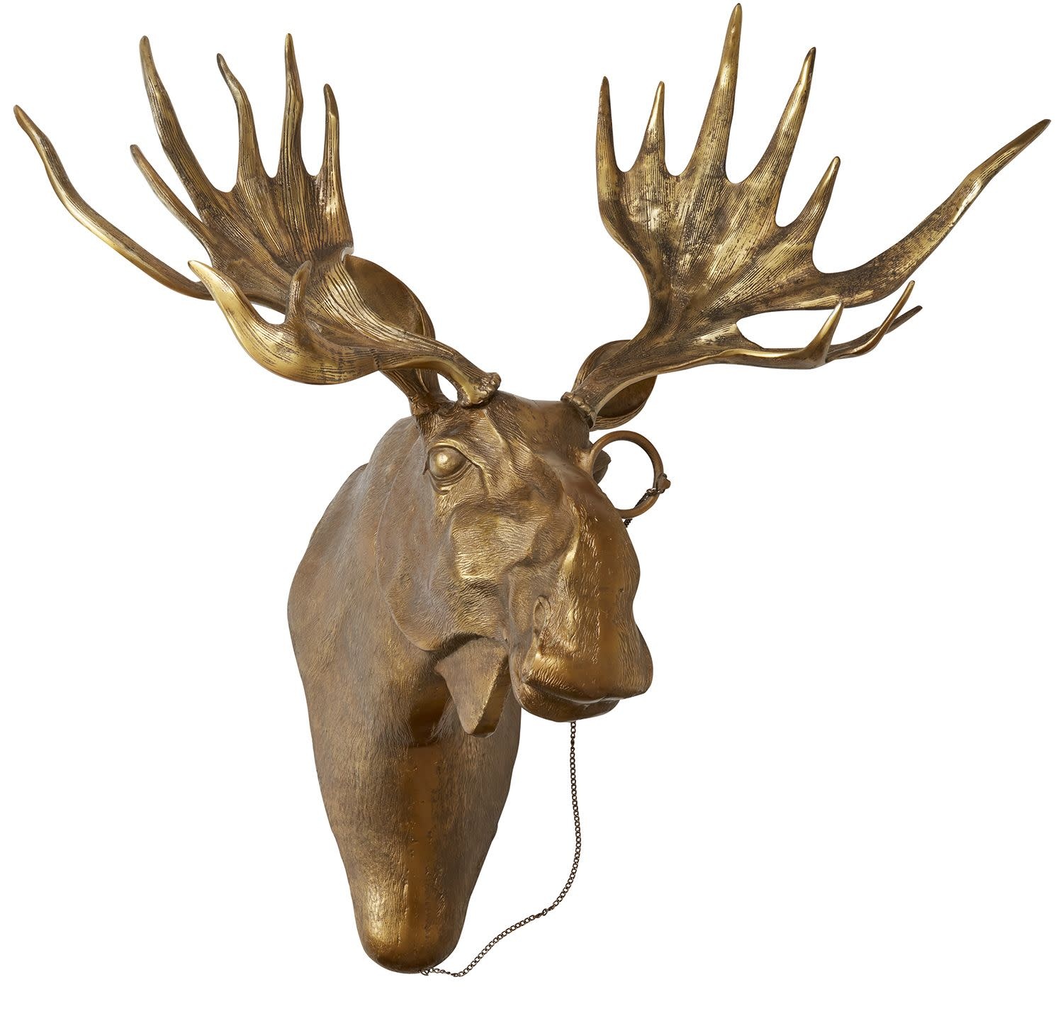 E&E Brass  Wall Mount, Moose, Eugene, Available for local pick up only