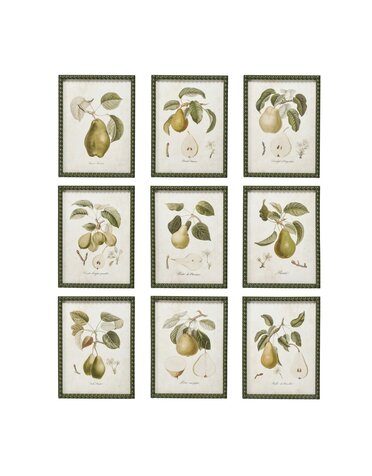 Hobnail Wood Framed Wall Decor with Vintage Reproduction, Assorted, 12"x 16"