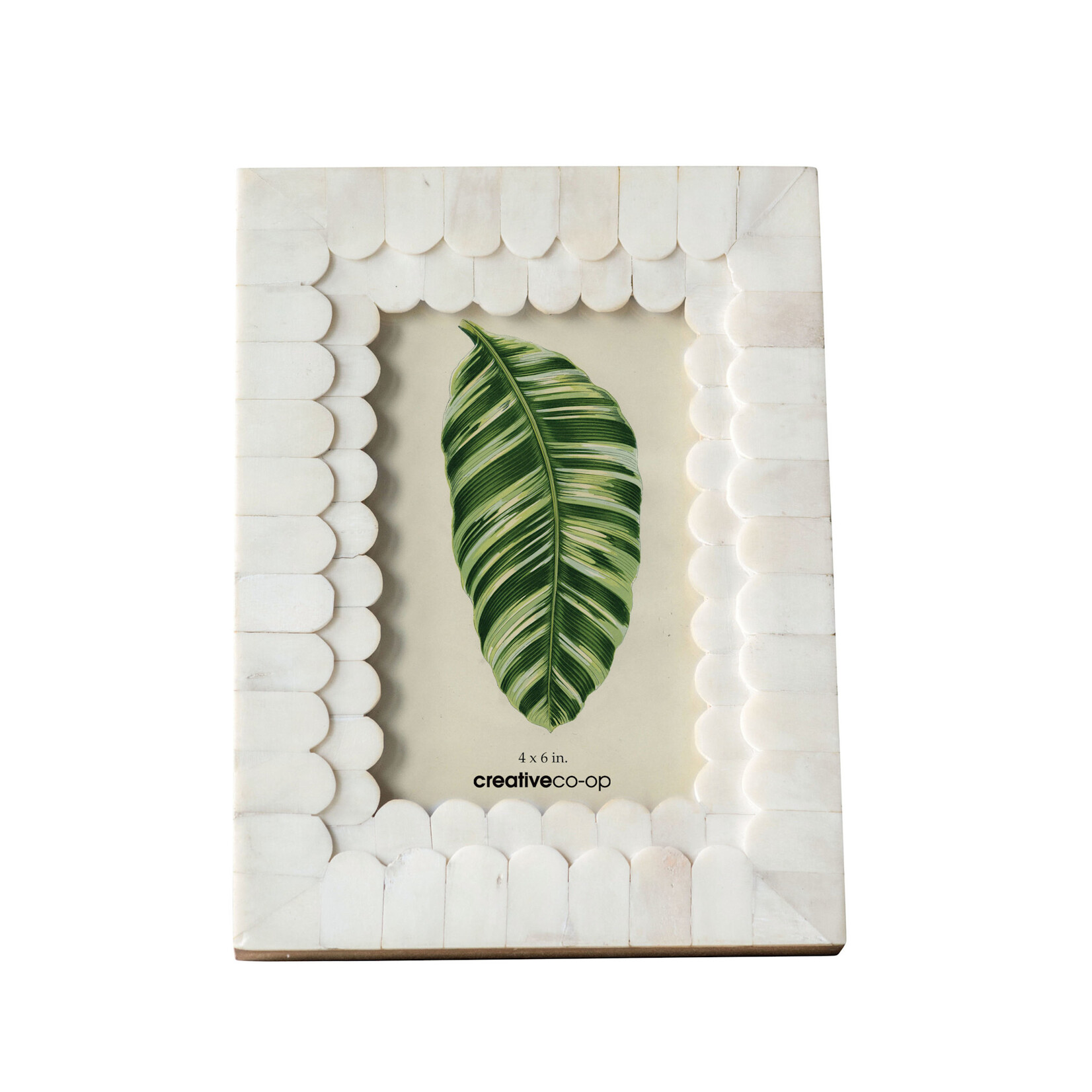 Bone Photo Frame, Holds 4"x 6" Photo