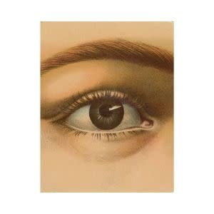John Derian Picture Book