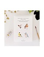 emily lex studio Paintable Notecards, Backyard Birds