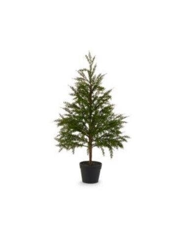 Potted Cedar Tree, 36 in.