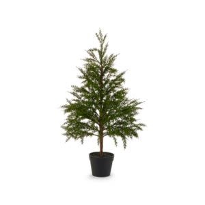 Potted Cedar Tree, 36 in.