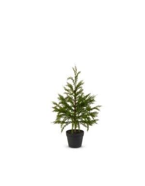 Potted Cedar Tree, 27 in.
