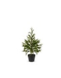 Potted Cedar Tree, 27 in. !!