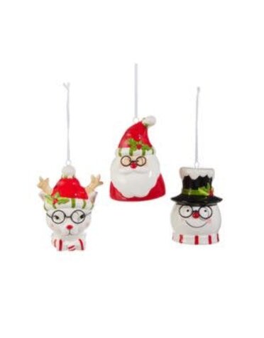 Holly-Day Ornament, 6 in., Asst