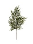 Norfolk Pine Branch, 39 in.