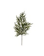 Norfolk Pine Branch, 39 in. !!
