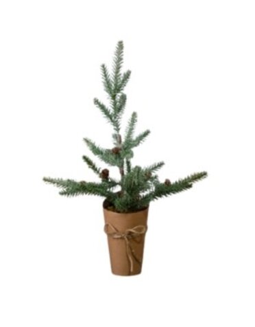 Evergreen with Pinecones, Frosted, 21.25 in.
