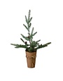 Evergreen with Pinecones, Frosted, 21.25 in.