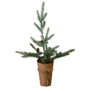 Evergreen with Pinecones, Frosted, 21.25 in.