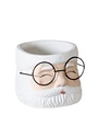 Santa Glasses Planter, Small, 3.5 in.