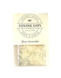 Divine Dips Seasoning Dip Mix, Bacon Horseradish