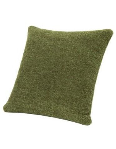 Jennifer Taylor Home Astrid Square Accent Pillow, Moss Green, 20 in.