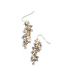 Wild Honey Natural Stone Cluster Dangle Earrings