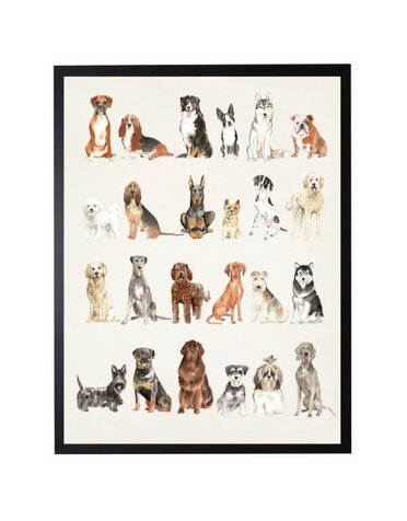 Antique Curiosities Inc Dog Breed Watercolor, Black Frame, 18 X 24, Artwork Available for Local Delivery or Pick Up