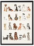 Antique Curiosities Inc Dog Breed Watercolor, Black Frame, 18 X 24, Artwork Available for Local Delivery or Pick Up