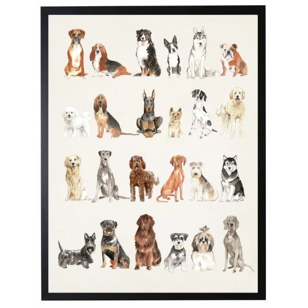 Antique Curiosities Inc Dog Breed Watercolor, Black Frame, 18 X 24, Artwork Available for Local Delivery or Pick Up